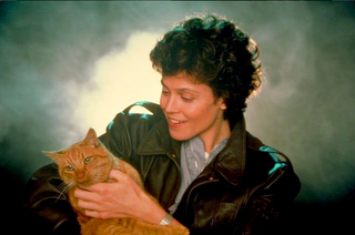 Illustration for article titled These images of Sigourney Weaver and the Alien cat will make your heart burst out of your chest